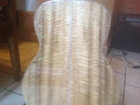 Takamine TLD M2