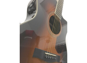Fender PM-3 Deluxe Triple-0 (96777)