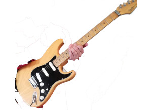 Fender Strat Plus Deluxe [1989-1999] (88985)
