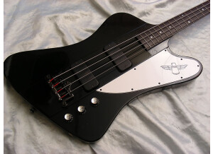 big gibson thunderbird bass blkDSCN0376