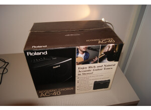 Roland AC-40 (55362)