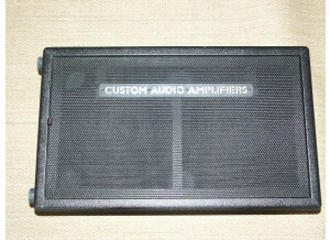 Custom Audio Electronics 2X12 (41739)