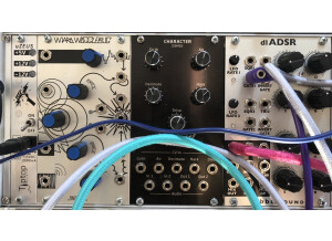 Dave Smith Instruments DSM02 Character Module