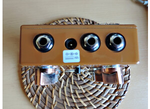 T-Rex Engineering Replica (38483)