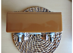 T-Rex Engineering Replica (97265)