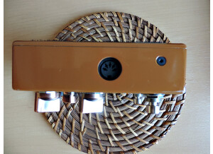 T-Rex Engineering Replica (15900)