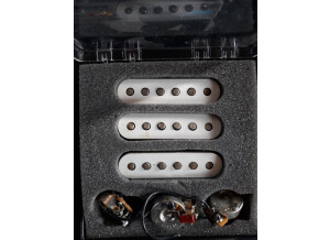 Fender Tex-Mex Strat Pickups (20107)