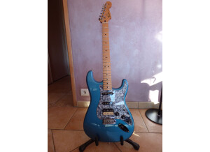Fender Standard Stratocaster [2009-Current] (23613)