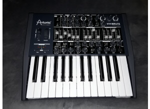 Arturia MiniBrute (24905)