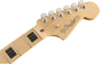 Meteora-Head Meteora-Head