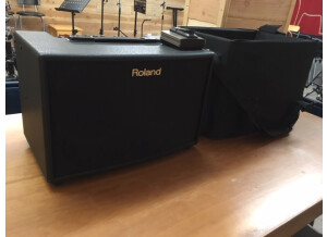 Roland AC-90 (23796)