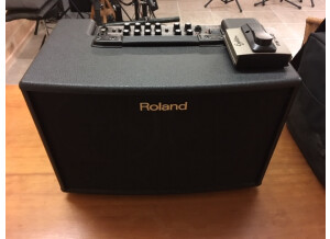 Roland AC-90 (24717)