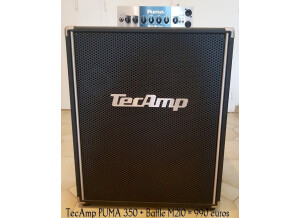 Tec-Amp Puma 350