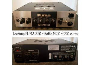Tec-Amp Puma 350