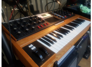 Moog Music Minimoog Voyager Performer Edition (78583)