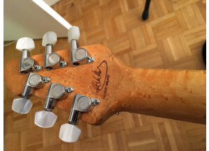 Peavey Wolfgang Standard Deluxe (39153)