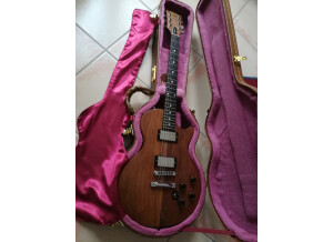 Gibson The Paul (25520)