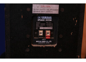 Yamaha NS-10M Studio (21787)