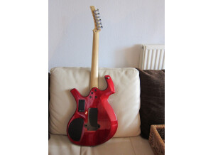 Parker Guitars P-44V (23868)