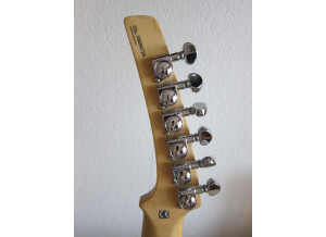 Parker Guitars P-44V (97738)