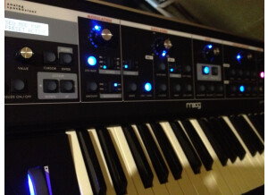 Moog Music Little Phatty Tribute Edition (99742)