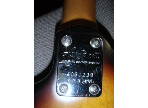 Aria Pro II RS Series Original Smooth Joint