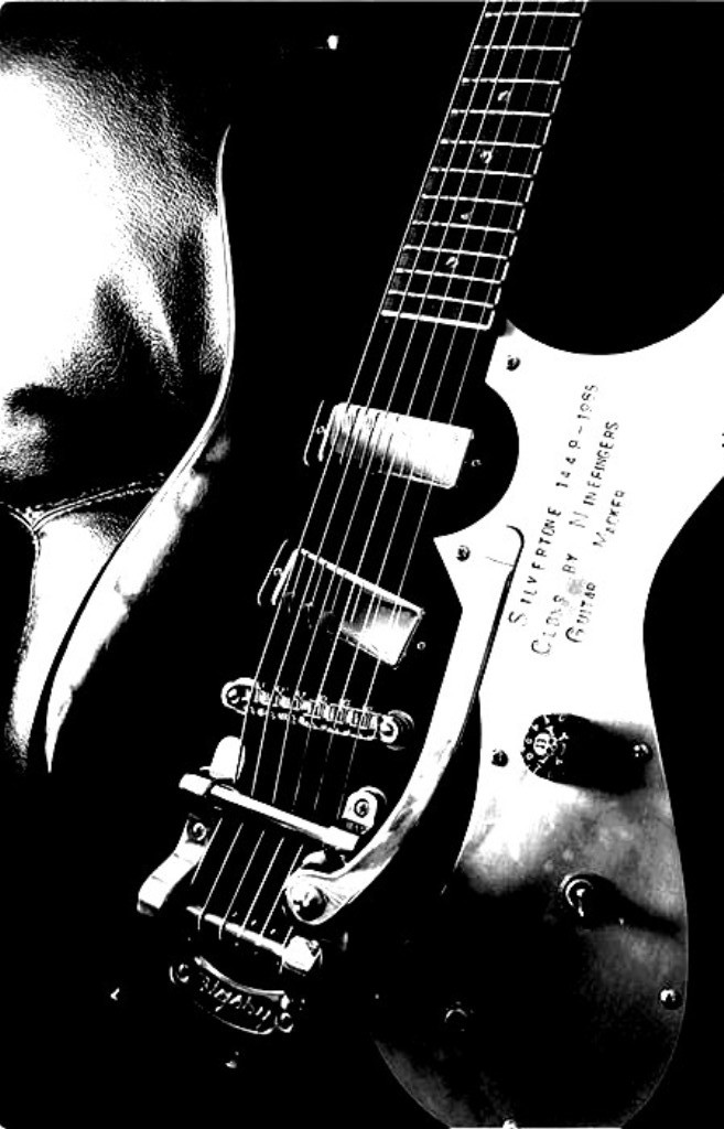 Hep Cat Pickups Firebird Set