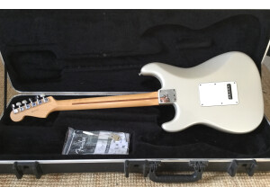 Fender American Standard Stratocaster [2008-2012] (1590)