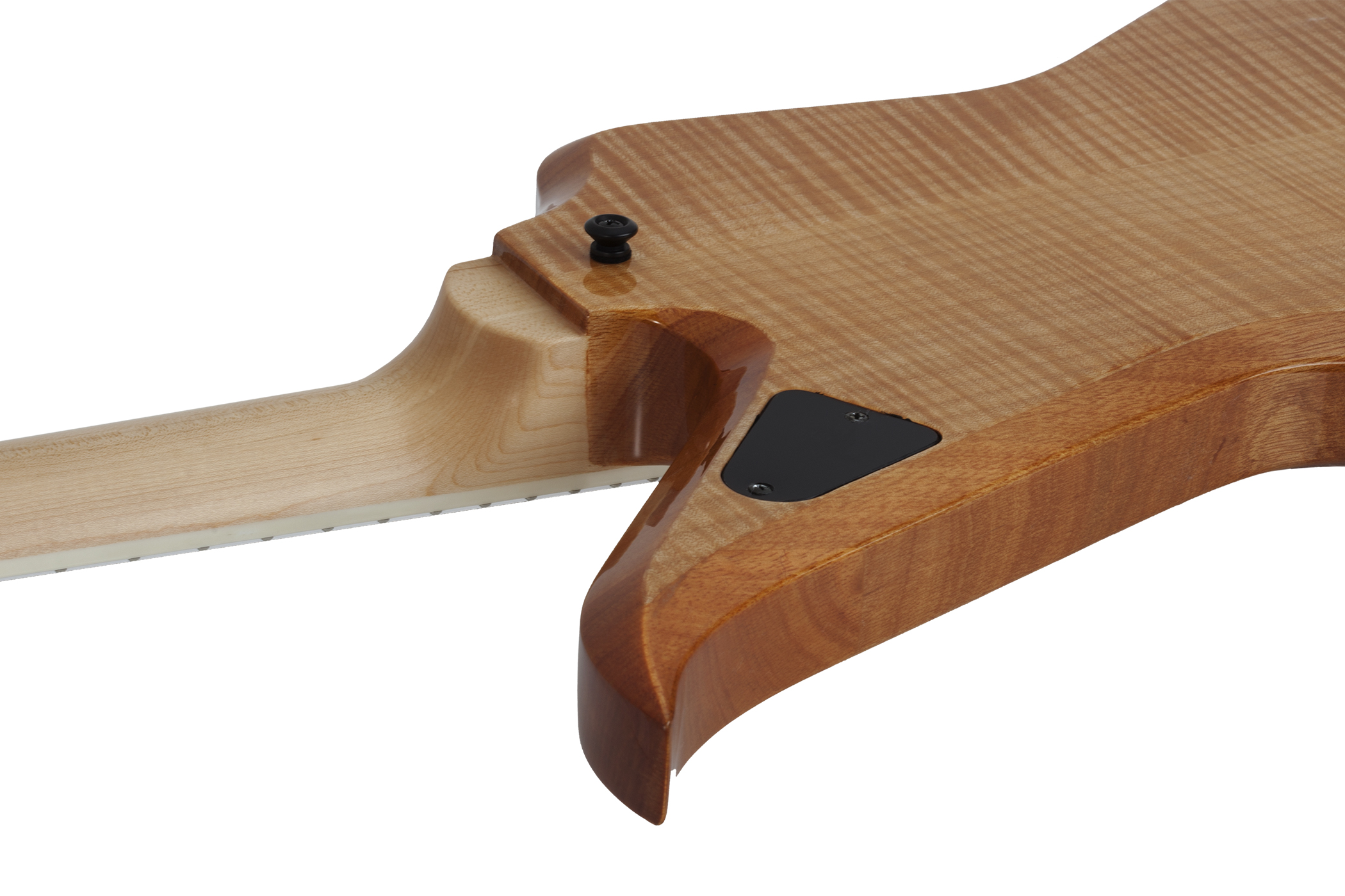 Wylde Audio Blood Eagle : Blood Eagle Raw Rear