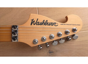 Washburn N61 (32306)