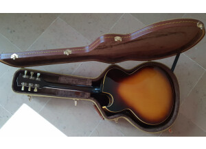 Gibson ES-175 Vintage (61667)