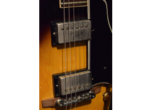 Gibson ES-175 Vintage (48264)
