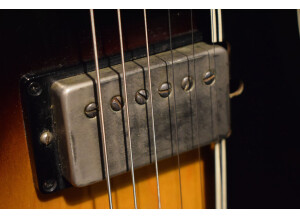 Gibson ES-175 Vintage (27757)