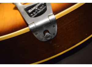 Gibson ES-175 Vintage (67601)