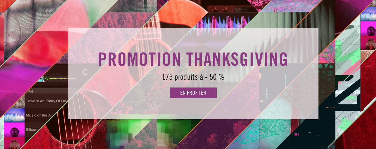 Promo Thanksgiving 2018 FR