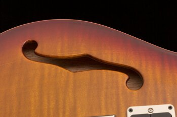 ce_24_semi_hollow_2019_photo2 ce_24_semi_hollow_2019_photo2