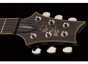 se_custom_24_ziricote_2019_photo6