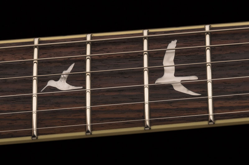 se_custom_24_ziricote_2019_photo5