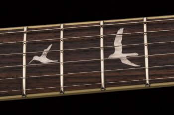 se_custom_24_ziricote_2019_photo5 se_custom_24_ziricote_2019_photo5