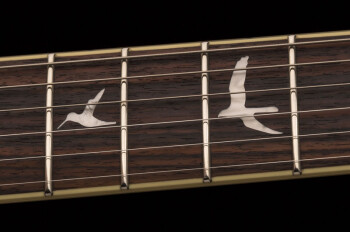 se_custom_24_ziricote_2019_photo5 se_custom_24_ziricote_2019_photo5