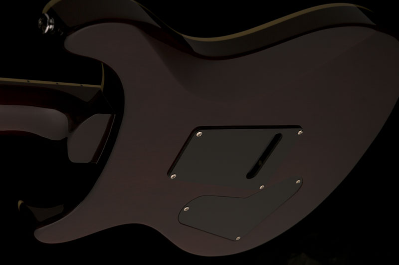 se_custom_24_ziricote_2019_photo4