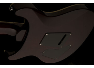 se_custom_24_ziricote_2019_photo4