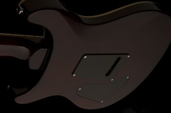 se_custom_24_ziricote_2019_photo4 se_custom_24_ziricote_2019_photo4