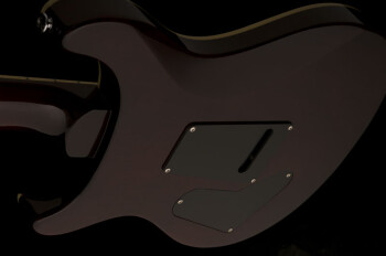 se_custom_24_ziricote_2019_photo4 se_custom_24_ziricote_2019_photo4