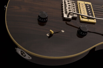 se_custom_24_ziricote_2019_photo3 se_custom_24_ziricote_2019_photo3