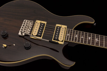 se_custom_24_ziricote_2019_photo2 se_custom_24_ziricote_2019_photo2