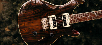 se_custom_24_ziricote_2019_photo7 se_custom_24_ziricote_2019_photo7