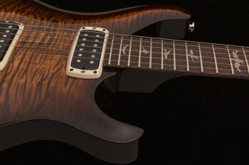 paulsguitar_photo6_1 paulsguitar_photo6_1