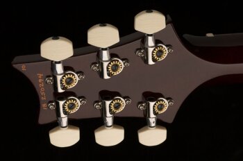 paulsguitar_photo5_1 paulsguitar_photo5_1