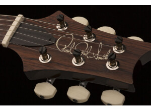 paulsguitar_photo4_1